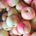 Shannxi Red Gala яблоки