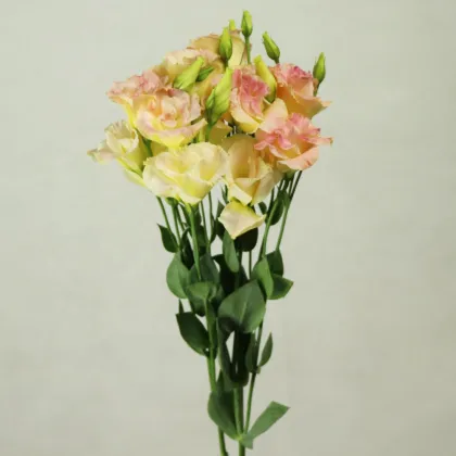 Yunnan Kunming Wholesale Fresh Cut Flowers: Eustoma for Florists & Wedding Decorations