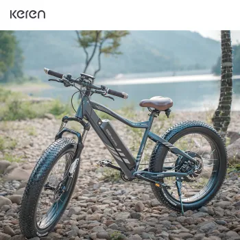 Torque Sensor Pedal Assist E-Bike for City Riding with Fat Tires