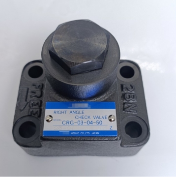 Replace Pilot Controlled Check Valves and Check Valves