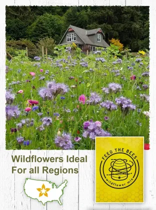 American Meadows Pack of 20 Wildflower Seed Packets: Attractive Pollinator Mix for Bees, Butterflies, and Hummingbirds - Ideal for Parties and Any Event