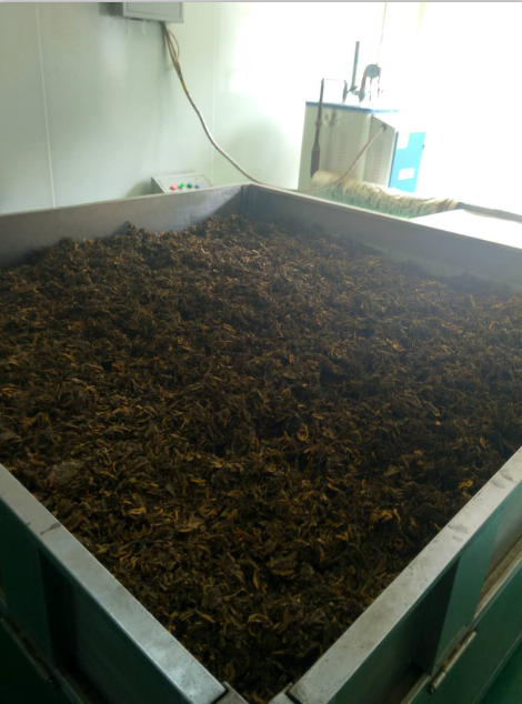 Cosmetic Software Coptis Japonica
