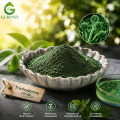 مسحوق الجراثيم الفطرية Trichoderma Viride للزراعة