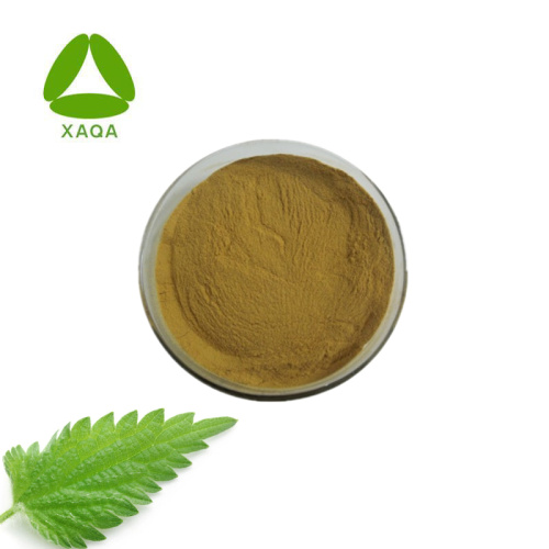 Nettles Leaf Extract Beta-Sitosterol Powder