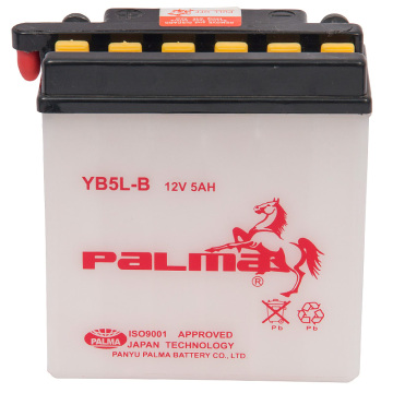 Dry Charge Motorcycle Battery (YB5L-B)