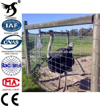 New Arrival High Evaluation Galvanized Grassland Cattle Fencing