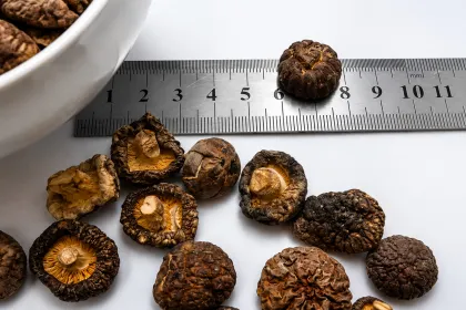 Pearl Mushroom Foods