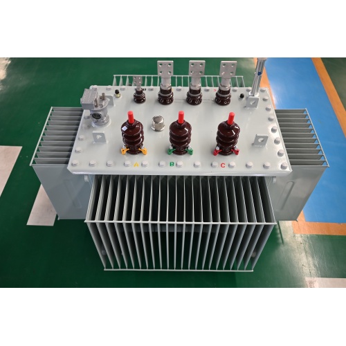 S20-M-800 10KV Oil Immersed Power Transformer