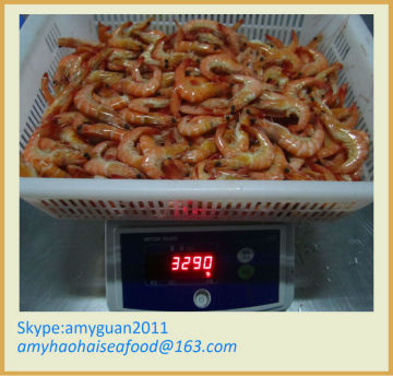 Frozen Shrimp Vannamei with low price