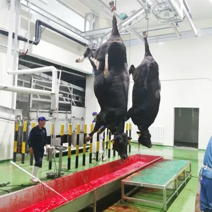 Living Cattle Ritual Killing Box