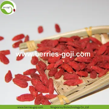 Factory Supply Fruits Nutrition New harvest Goji Berry