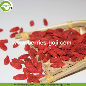 공장 공급 과일 영양 새로운 수확 Goji Berry