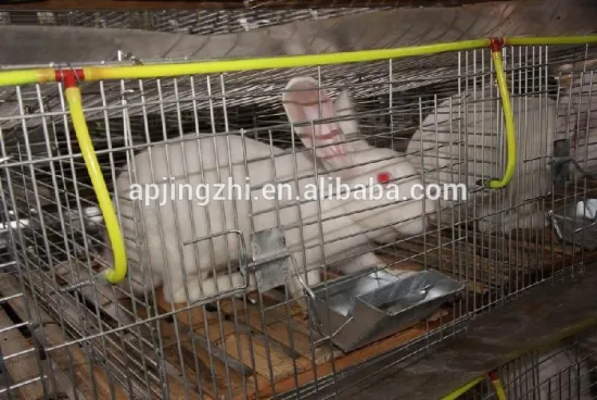welded rabbit cage wire mesh