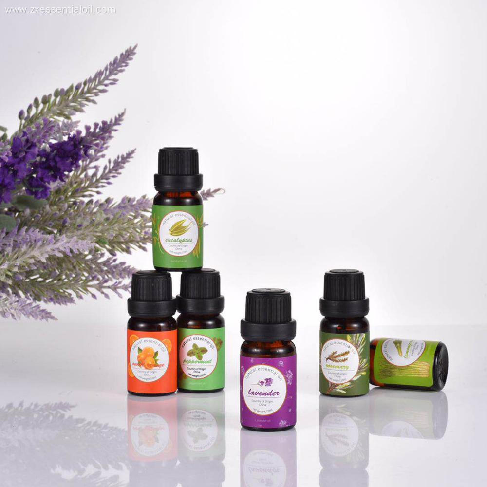 Hot selling essential oil set 6x10ml