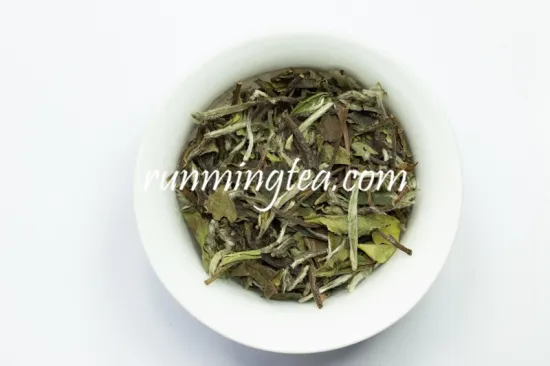 Antioxidant Chinese White Tea Benefits