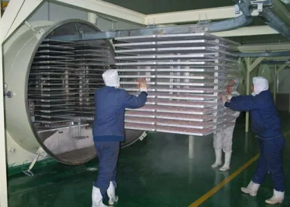 mountain house freeze dried foods