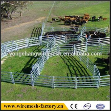 factory supply cattle panel fences for hot sale