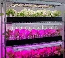 TOP Grow Lights Manufacturer 288W-1440W Grow Lights Mass Greenhouse Planting Grow Lights
