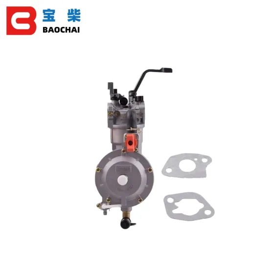 ER2500 2KW LPG Gasoline Generator Carburators - Huayi P19A Spare Parts