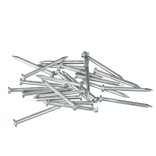 Electro Galvanized Concrete Nails and Steel Nails