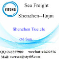 Shenzhen Port LCL Consolidation To Itajai