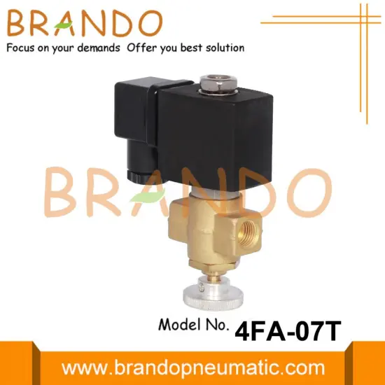 Coalgas Natural Gas Solenoid Valve 1/4'' 24VDC 220VAC