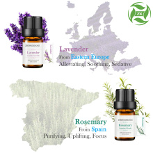 Aromatherapy therapeutic grade pure essential oil set