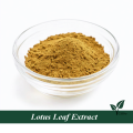 Wholesale Lotus eaf extract powder