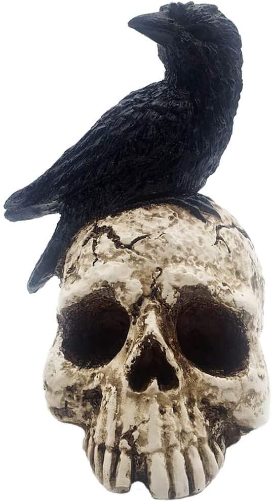 Raven on Skull Halloween Home Decor