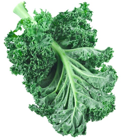 kale powder (1)