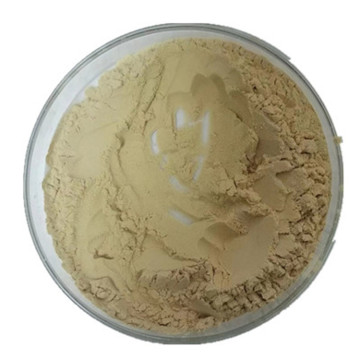 Luo Hanguo Extract Monk Fruit Extract in Stock