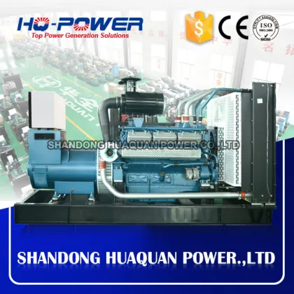 china suppers 300kw generac rv generator