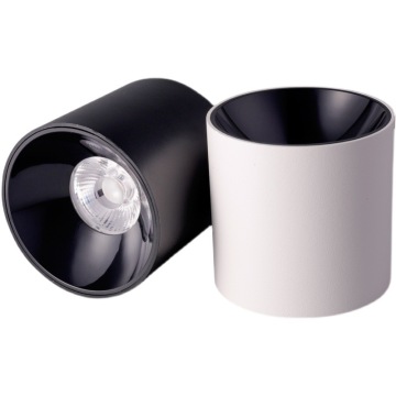 7W 10W 12W Surface Mount Round LED Ceiling Lights 220V Warm White Cold White