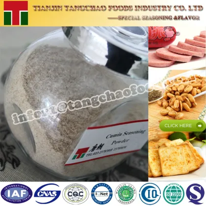 Cumin Seasoning Powder Cumin Flavour Seasoning Powder