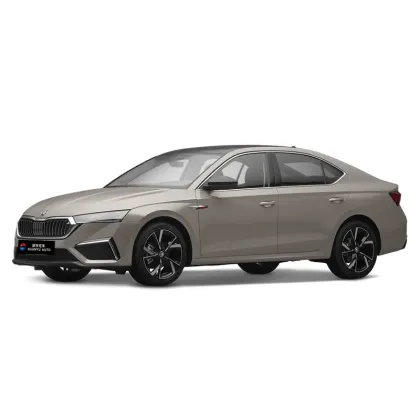 Volkswagen VW Skoda Octavia gasoline Pro Car