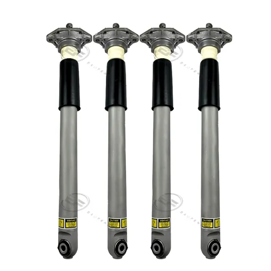Rear Car Shock Absorbers Assembly for Porsche Paramera 970 OE 97033314505