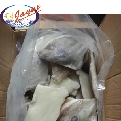 New Products Seafood Products Frozen John Dory,Vacuum Packing Frozen John Dory Fillet