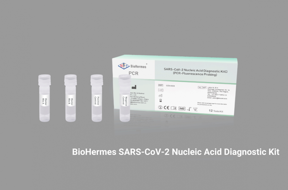 Echtzeit-Fluoreszenz-RT-PCR-Kit zum Nachweis von Sars-CoV-2