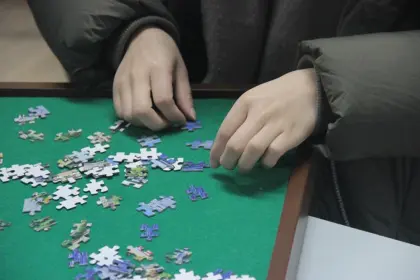 GIBBON Jigsaw Puzzle Spinner