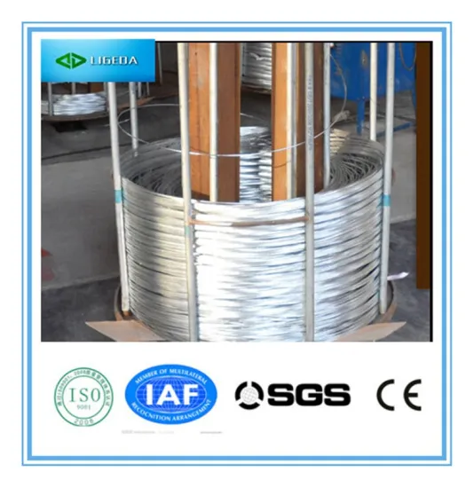 Cheap electro galvanized iron wire/ zinc coated iron wire/ binding wire for construction
