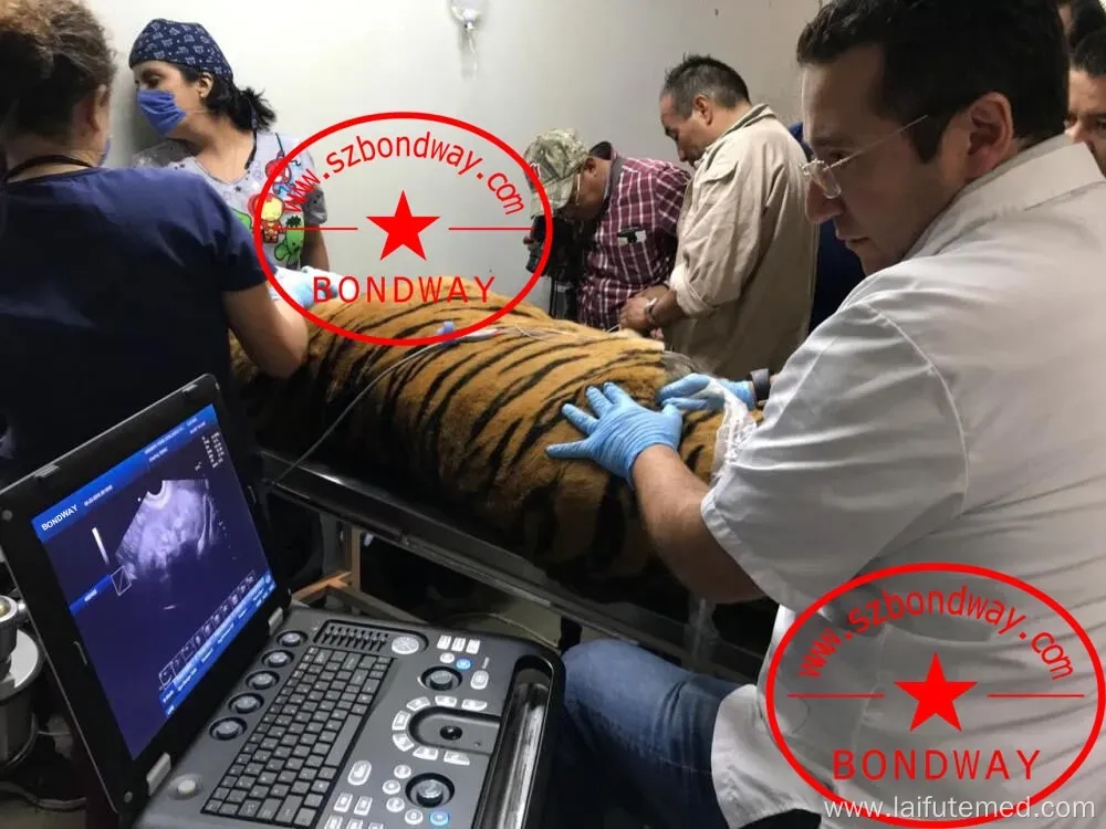 Es230V Veterinary Ultrasound Color Doppler System