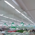 /msite/products/detail/productid/63254215/id/1520945.html