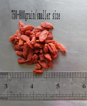 GOJI BERRY SMALLEST SIZE CHINESE ORIGIN SUPPLY