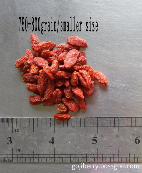 750-800grain Love Goji Berry