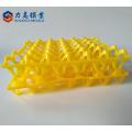 Moden design plastic injection egg tray mould maker