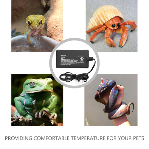 Reptile Heating Pad PetcoHeat Mat And Thermostat