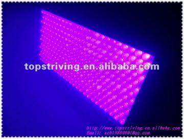Stage Light With300 10mm RGBWA High Mcd LEDs / LED Leto RGBWA