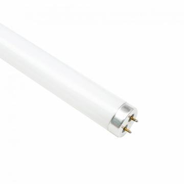 Luz T8 18w inseticida