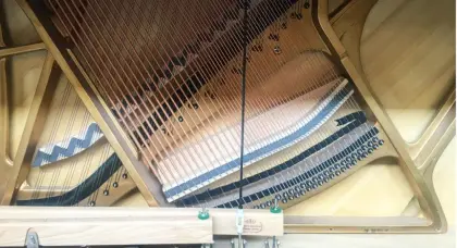 Elegant custom grand piano