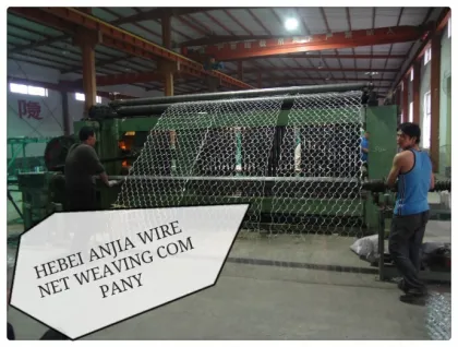 ANJIA chicken mesh Hexagonal wire netting